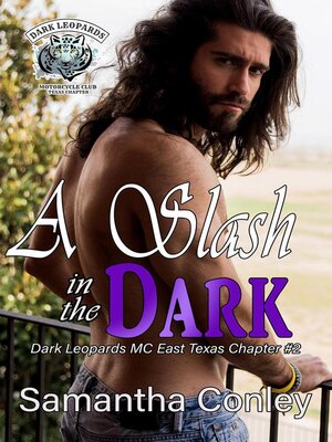 cover image of A Slash in the Dark